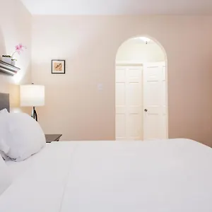 https://caribbean-dutch-masters.comcaribbean.com